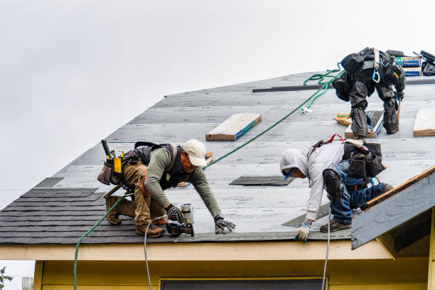 Professional Roofing technician working in McKenna, WA